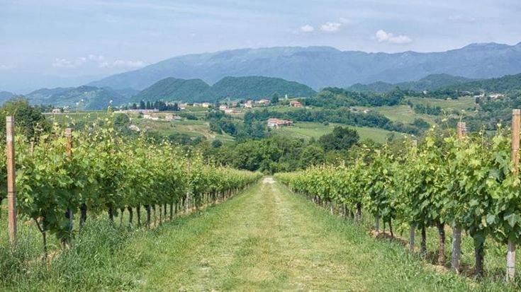 Turismo Dop: il Veneto guida l’Italia e vale quasi 5 miliardi di euro