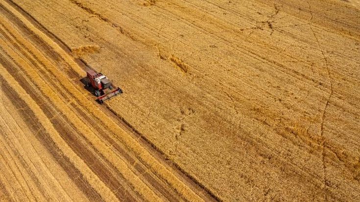 L’export del food&beverage italiano è cresciuto del 5% a 70,9 miliardi nel 2025