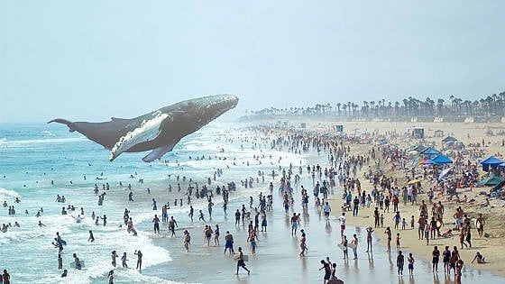 Mixed Reality. E il digitale entra nel nostro mondo 