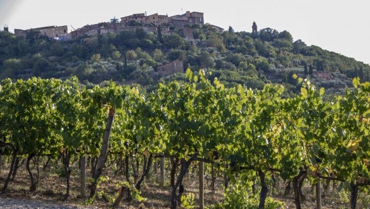 Acquisizione Castiglion del Bosco, Montalcino sempre più cosmopolita del vino