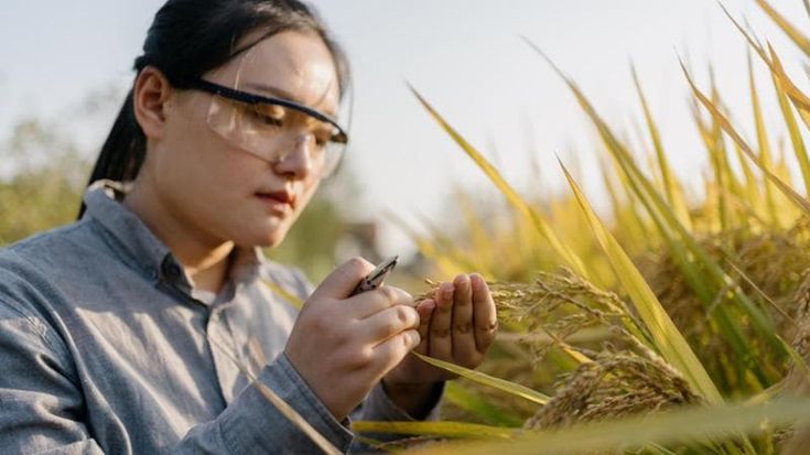 In Veneto, verso un futuro sostenibile grazie al cibo intelligente
