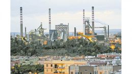 Un milione di alberi a Taranto: in primavera nascerà la foresta urbana