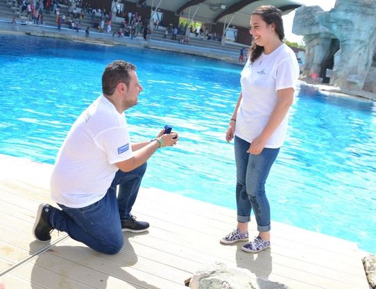 Riccione, Marta e Simone promessi sposi davanti ai delfini di Oltremare