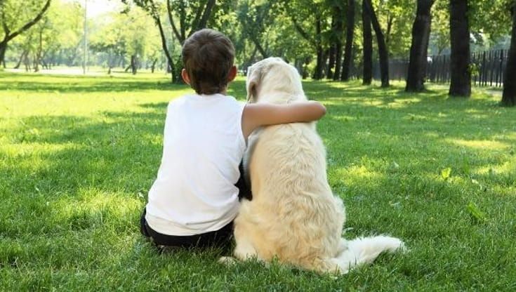 Neonati e cani, stessi numeri: “Bari non è una città per bambini. Viviamo un cambiamento culturale”
