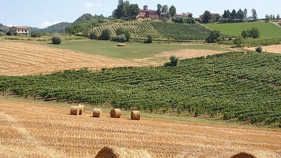 Tortona. Un paesaggio e un vino da scoprire