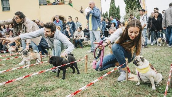 Le Olimpiadi dei carlini, in 800 a Livorno per le Ugopiadi