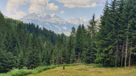 Gran Cereale ripristina sei aree boschive italiane