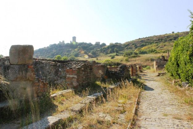 Gli Scavi di Velia<br />sepolti dalle erbacce<br />&nbsp;