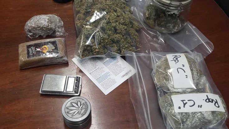 Fa i selfie con le piante di marijuana e perde il cellulare, operaio arrestato