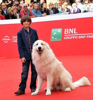 Il cane Belle, il giovane Sebastien per il primo tappeto rosso a misura di bambini