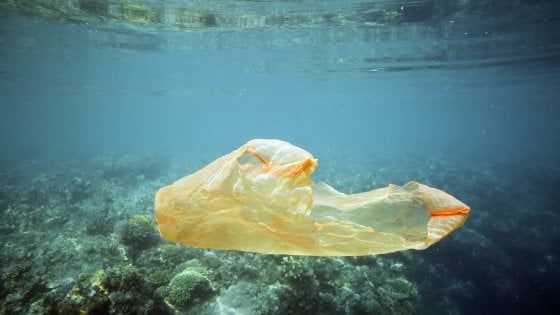 Un altro pezzo di Sicilia senza plastica: piatti usa e getta vietati ad Avola e Noto
