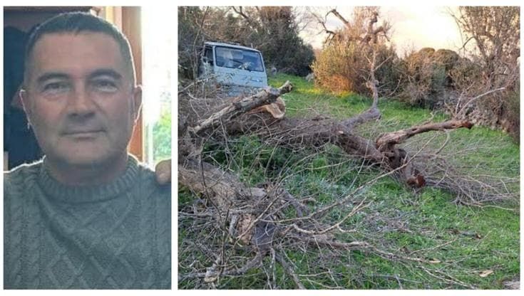 Travolto da grosso tronco mentre lavora nella sua campagna a Ugento: Walter Basile muore a 53 anni