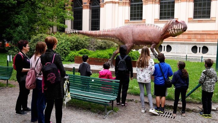 Milano, i musei gratis fanno il pieno di milanesi e turisti: "Una domenica di cultura" 