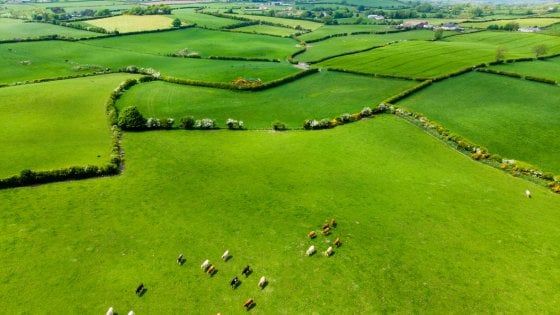 I paradisi fiscali della porta accanto: tra Irlanda, Olanda & Co., all'Italia mancano 7 miliardi