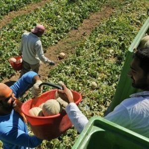 Lavoratori immigrati, critiche al Governo: "Ci sarebbe voluto più coraggio": le norme lasciano fuori molti migranti