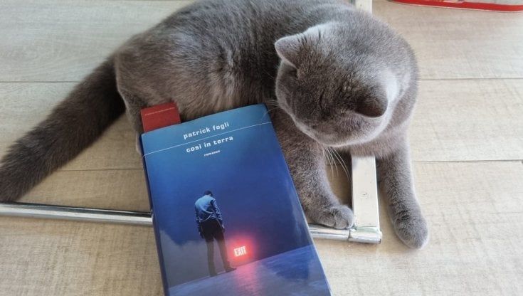 Daniel è solo 