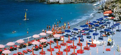 Un Ong che monitora l'educazione all'ambiente
