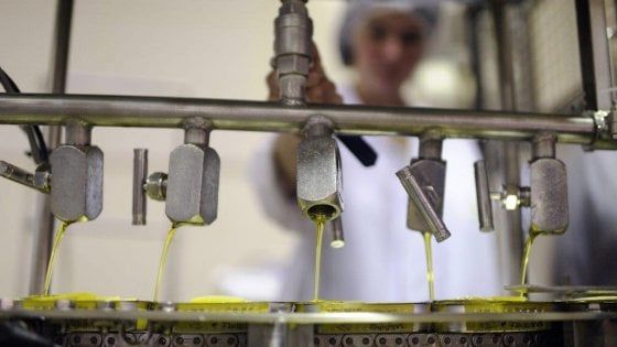Scienza in cucina: non esiste la molecola di olio di palma. Ovvero gli oli spiegati dall'inizio