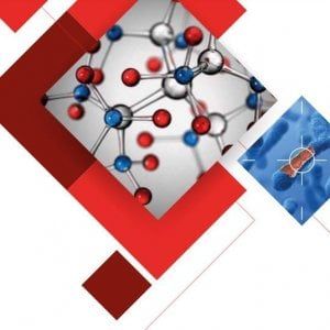 Diagnosi e terapie ‘su misura’ con l’oncologia di precisione
