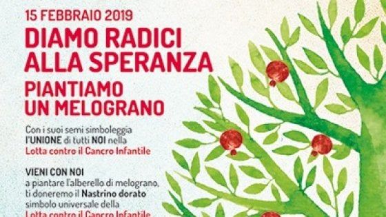 Il Melograno simbolo dei tumori infantili, ogni anno 2.200 diagnosi 