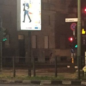 Il mistero della ragazza seminuda in centro: ubriaca, era uscita dalle Terme di Torino