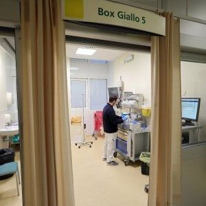 Bologna, un 19enne lancia  raccolta fondi per sostenere gli ospedali : oltre 100 mila euro
