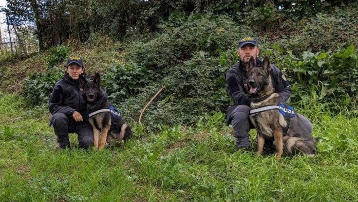 Un chilo e mezzo di droga nascosta alle Cascine trovata dai cani della polizia
