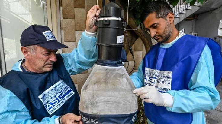 West Nile, serve una battaglia come ai tempi della malaria