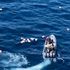 Spagna, trafficanti di droga salvano la vita agli agenti caduti in mare nell'inseguimento. Arrestati