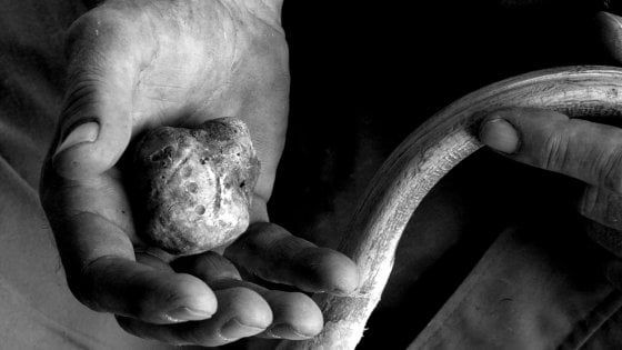 Alba e Montà vogliono un Museo del tartufo: i Comuni lanciano il bando