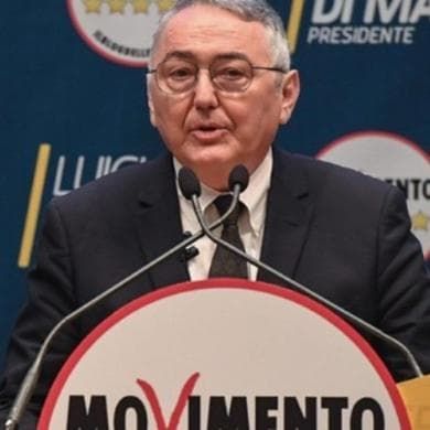 Un grillino per caso