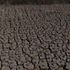 Tavoni: “Per il clima affondano edilizia e agricoltura, danni per 50 miliardi”