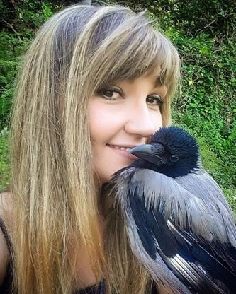 La cornacchia grigia chiamata Pollo è volata via, appello social a Milano per ritrovarla