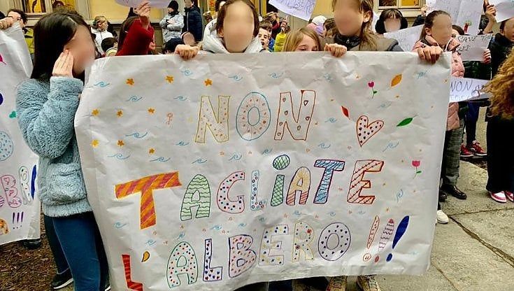 Torino, i bambini in sit-in salvano un pezzo dell'albero storico del giardino