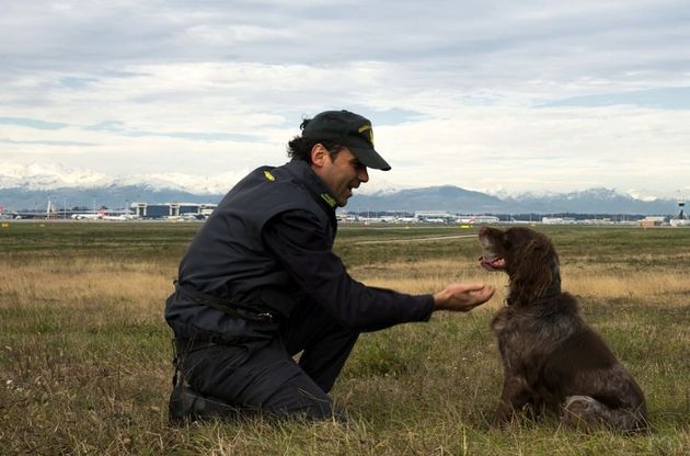 Malpensa fa festa a Lucas, il cane antidroga che va in pensione dopo 12 anni