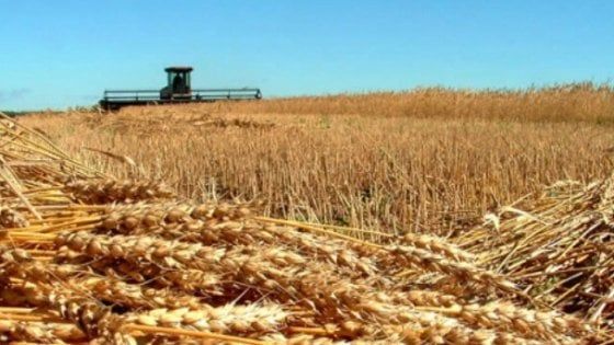 Benevento, azienda riparte dopo l'alluvione grazie a Barilla