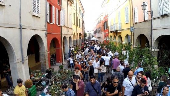 La biodiversità in mostra a Guastalla: torna "Piante e animali perduti"