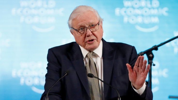Clima, Sir David Attenborough nominato "rappresentante dei cittadini" per la Cop26