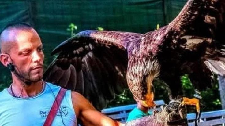 Chi sceglie i falconieri della Lazio non è un’aquila