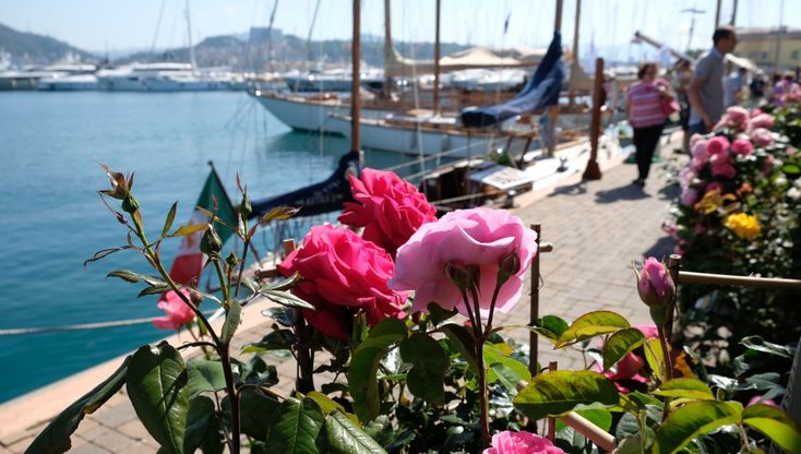 Yacht & Garden, a caccia di fiori e piante alla Marina di Sestri