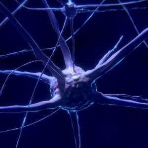 Lo stress è contagioso come il raffreddore