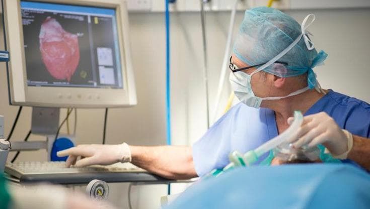 Malattie delle valvole, il cuore si cura sempre più spesso senza aprire il torace