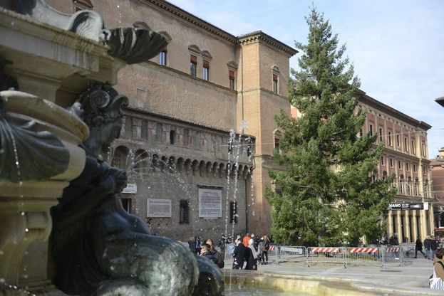 Bologna ha già il suo albero di Natale