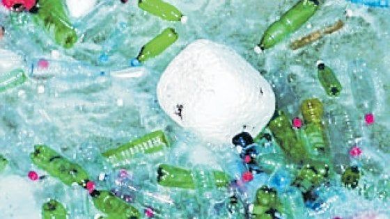 Gli oceani invasi da tonnellate ma chi la raccoglie ora ha un premio