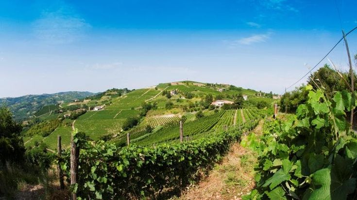 Il Piemonte punta sull’Asti il vino più esportato nel mondo promosso per tutto il 2026