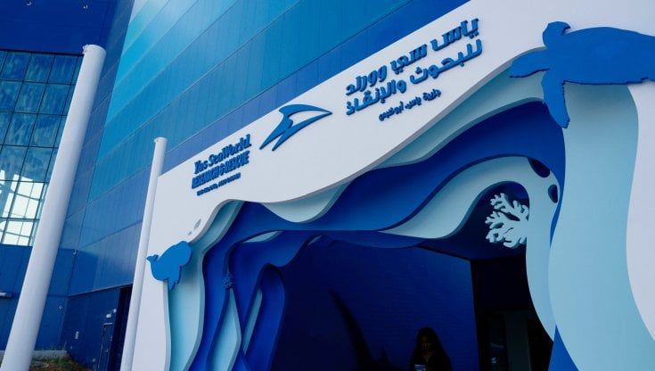 Abu Dhabi, apre lo Yas SeaWorld Research & Rescue: il centro dedicato a ricerca e salvataggio marino