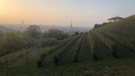 Castelli, tartufi e grandi vini: scoperte ed emozioni di un Piemonte da vivere