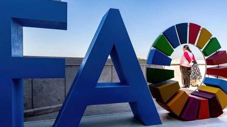 Innovate today, nourish tomorrow: the FAO we need for the future of food security