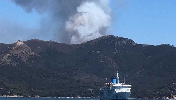 Incendio all'isola d'Elba, in fiamme ettari di bosco a Capo d'Arco