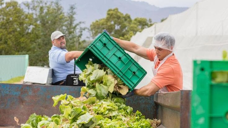 Trasformazione alimentare, solo il 43% delle aziende misura lo spreco che produce